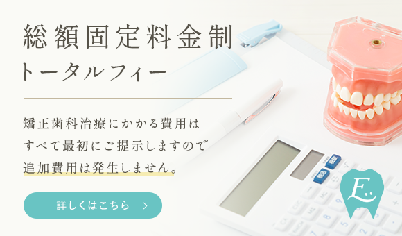 総額固定料金制 トータルフィー