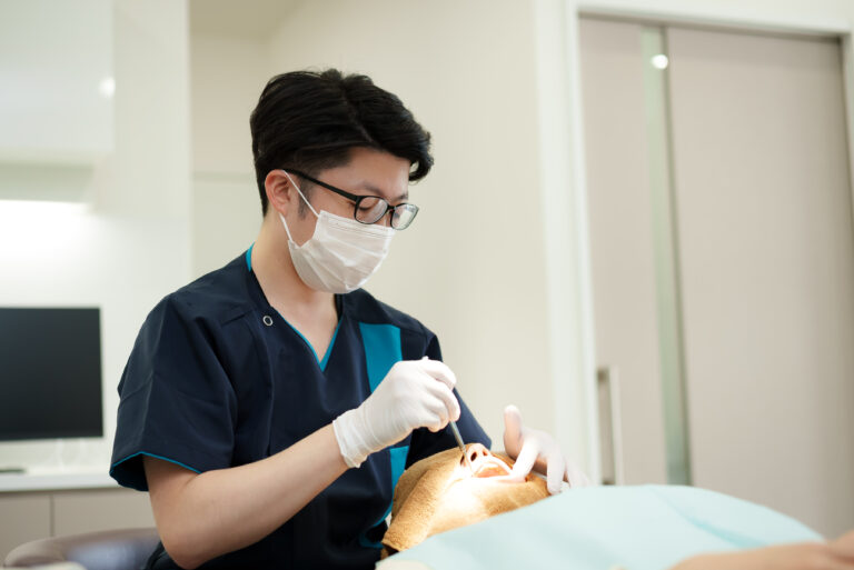 日本矯正歯科学会の認定医による治療を提供